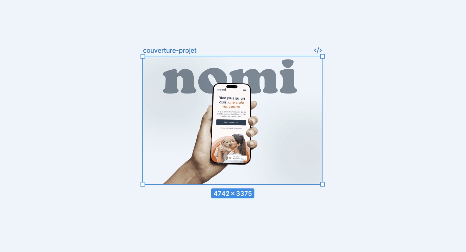 Interface du projet Nomi